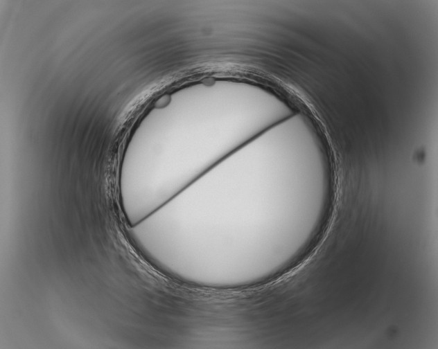 X0000115210922200912091154