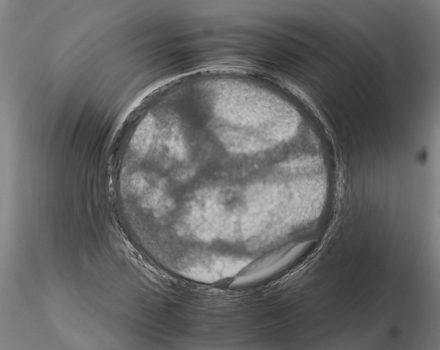 X0000115210923200912091154