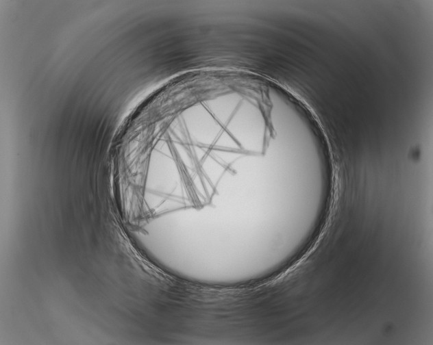 X0000115210925200912091154