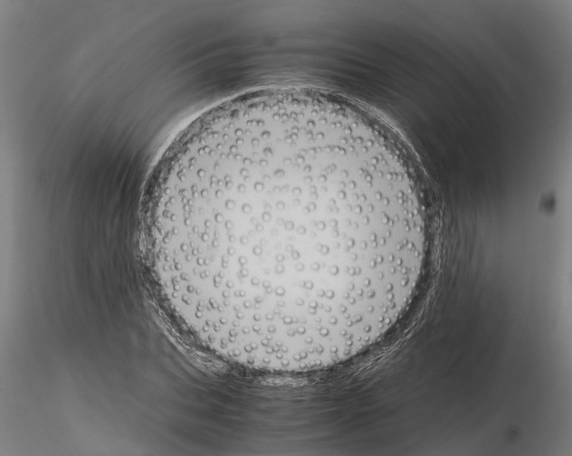 X0000115210927200912091154