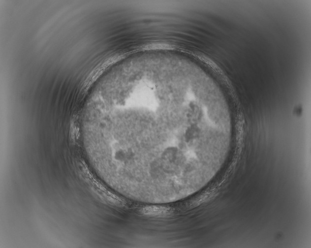 X0000115210929200912091154