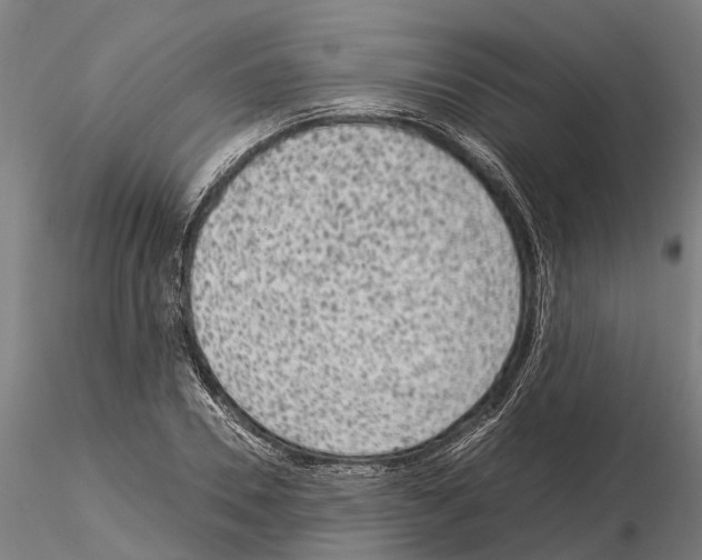 X0000115210930200912091154