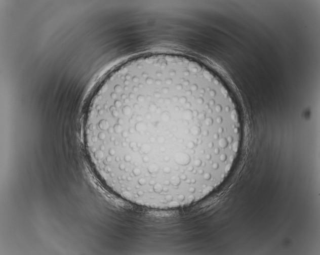 X0000115210931200912091154