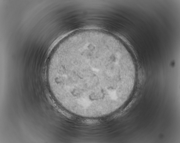 X0000115210933200912091154