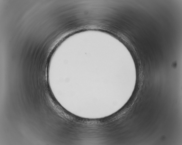 X0000115210934200912091154