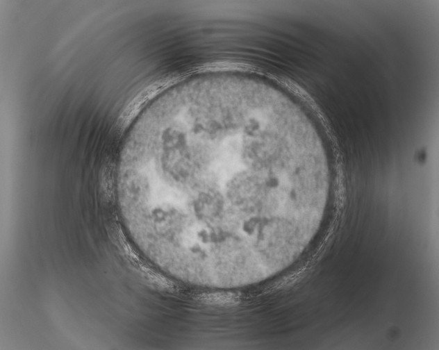 X0000115210937200912091154