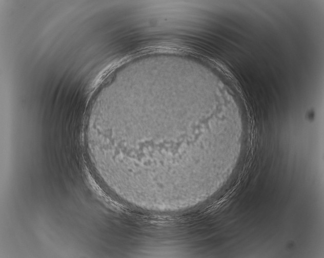 X0000115210938200912091154