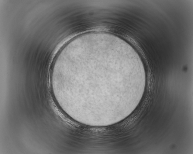 X0000115210939200912091154