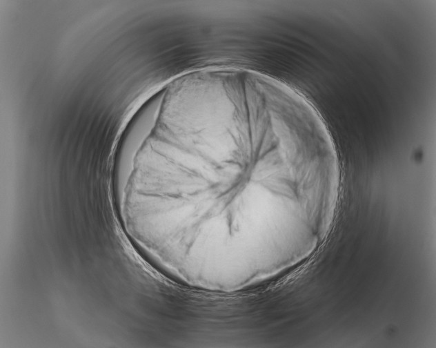 X0000115210941200912091154