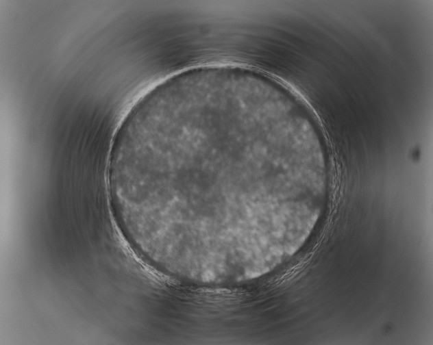 X0000115210943200912091155