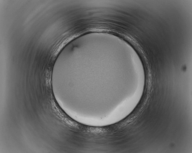 X0000115210945200912091155