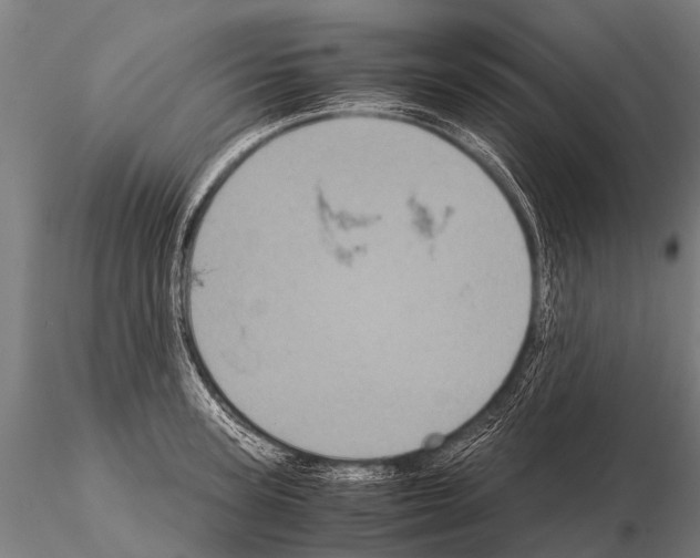 X0000115210947200912091155