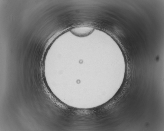 X0000115210949200912091155