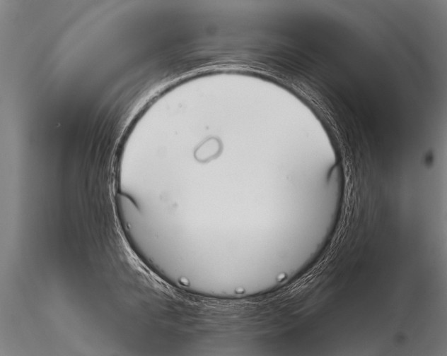 X0000115210950200912091155