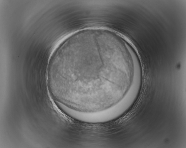 X0000115210951200912091155