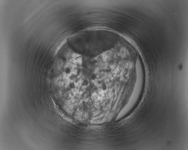 X0000115210953200912091155