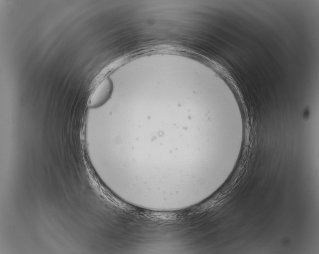 X0000115210954200912091155