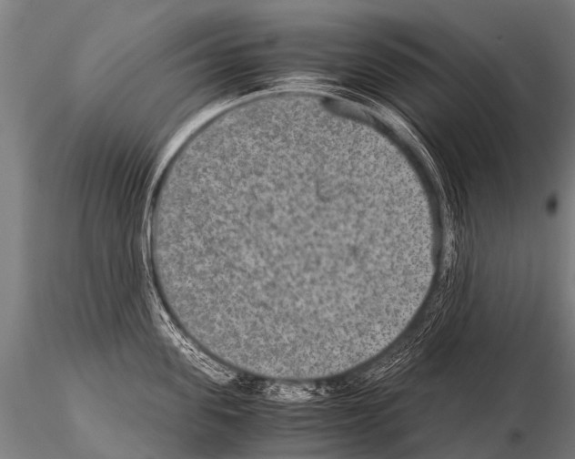 X0000115210955200912091155