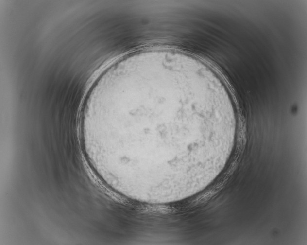 X0000115210957200912091155