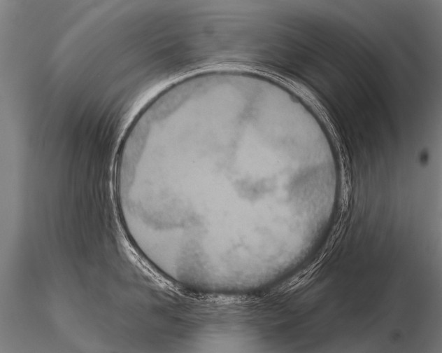 X0000115210958200912091155