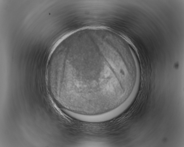 X0000115210959200912091155