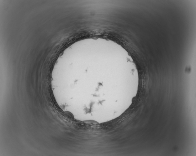 X0000115210961200912091154