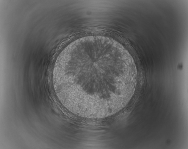 X0000115210962200912091154