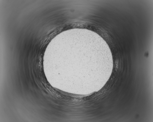 X0000115210964200912091154