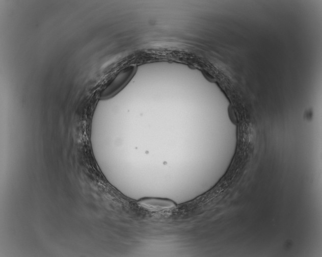 X0000115210965200912091154