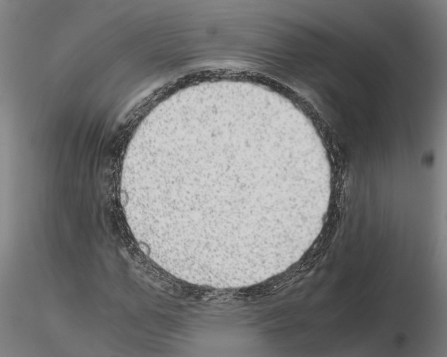 X0000115210967200912091154