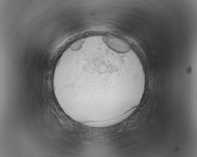 X0000115210968200912091154