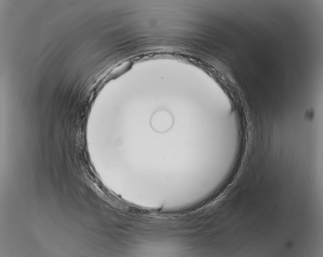 X0000115210969200912091154