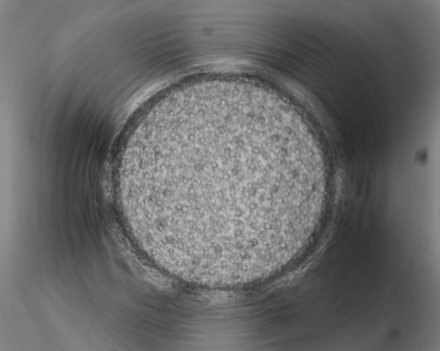 X0000115210970200912091154