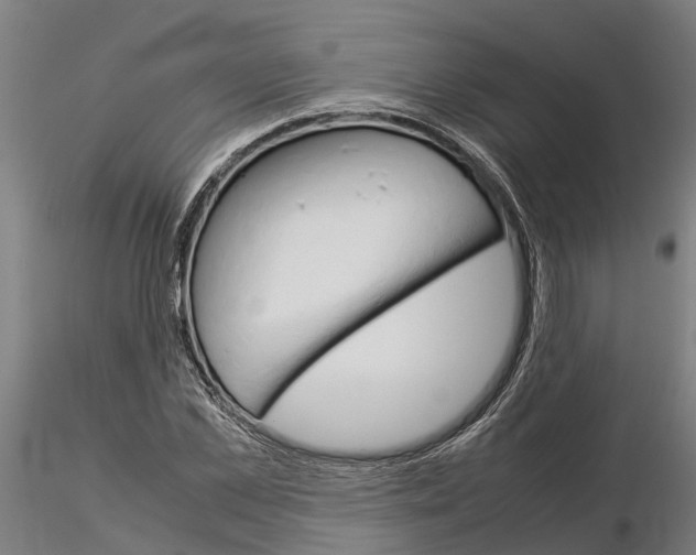 X0000115210973200912091154