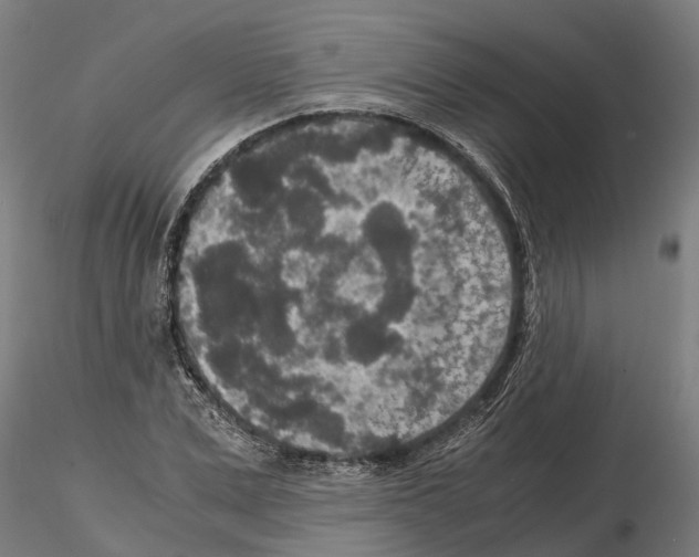 X0000115210975200912091154