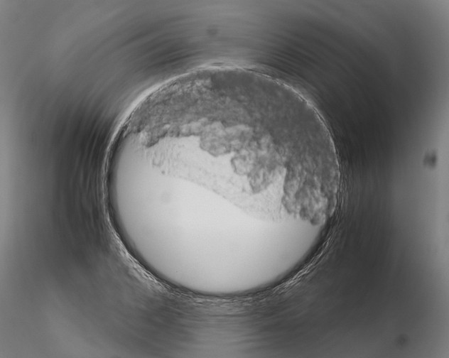 X0000115210976200912091154