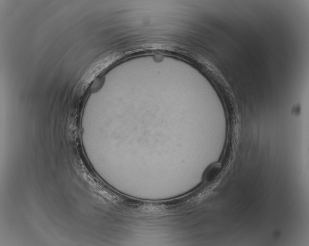 X0000115210977200912091154