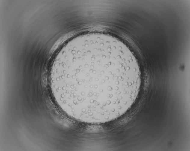 X0000115210978200912091154