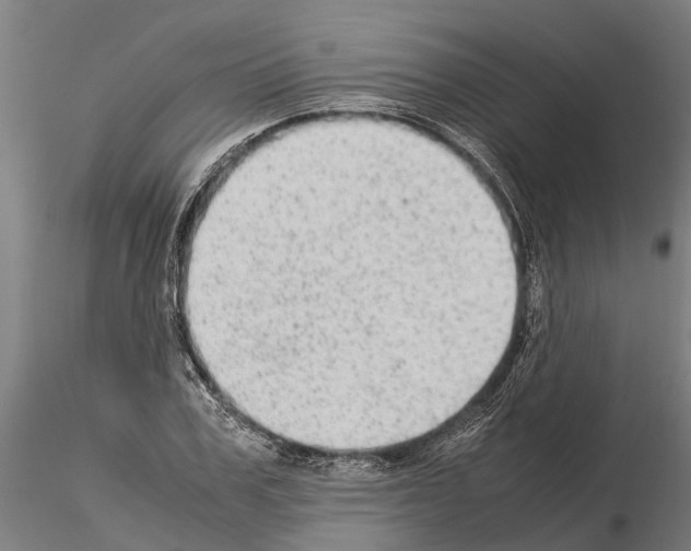 X0000115210979200912091154