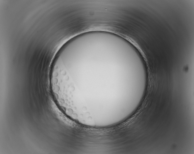 X0000115210980200912091154