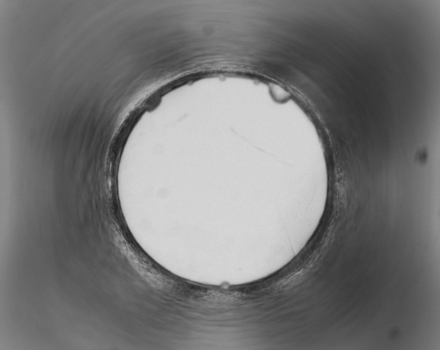 X0000115210981200912091154