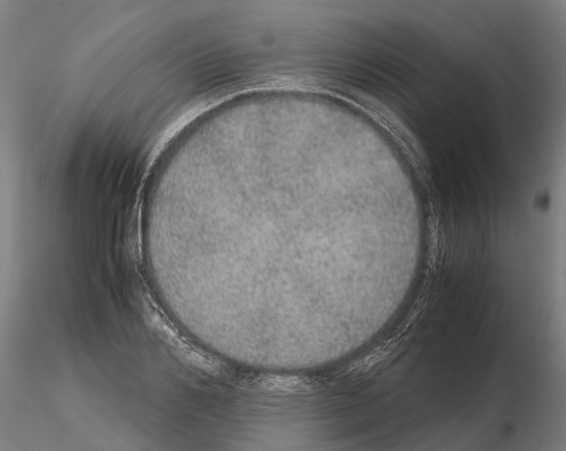 X0000115210982200912091154