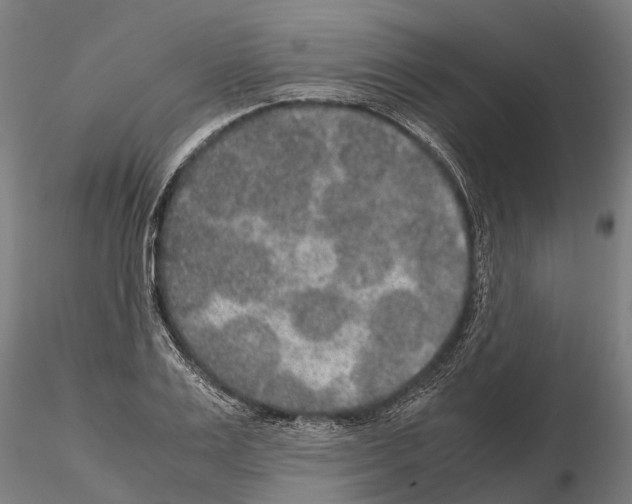 X0000115210983200912091154