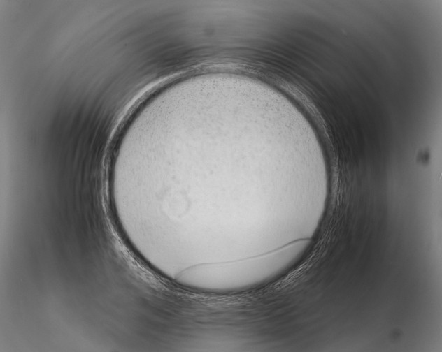 X0000115210984200912091154