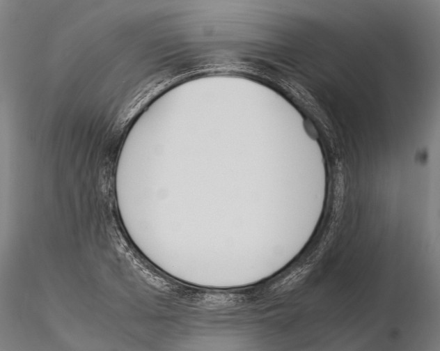 X0000115210985200912091154