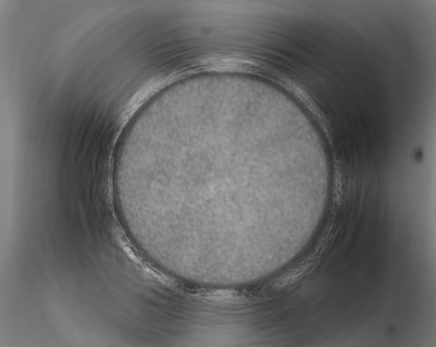 X0000115210986200912091154