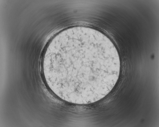 X0000115210987200912091154