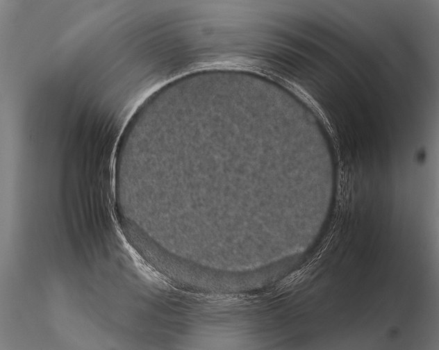 X0000115210988200912091154