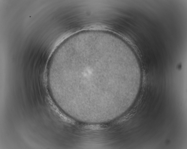 X0000115210990200912091154