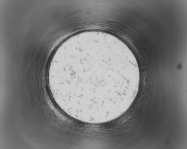 X0000115210991200912091154